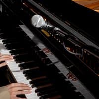 Noble Sunday Sounds