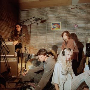 feeble little horse @ The Social