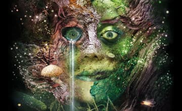 Bog Witch